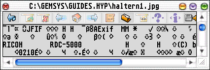 Darstellung von NICHT-ASCII-Dateien
